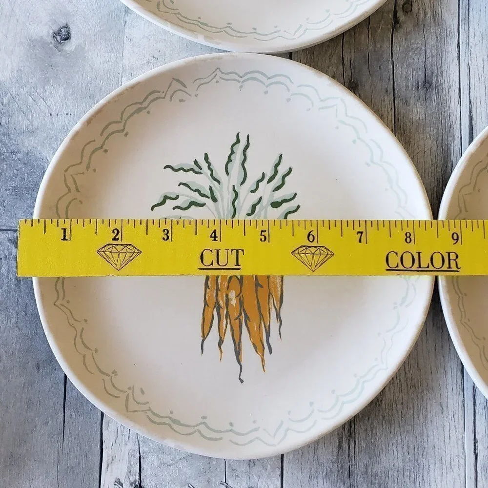 NWT – Threshold (Set of 4) Melamine Plates - Bunch of Carrots